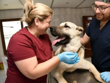 Kamyonetin Arkasına Bağlanan Köpeğe Muratpaşa Belediyesi Sahip Çıktı.!