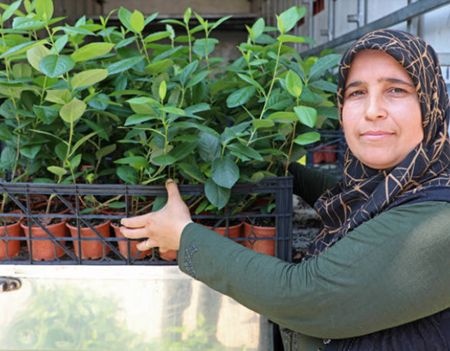 Antalya’da Çiftçiye Süper Meyve Desteği