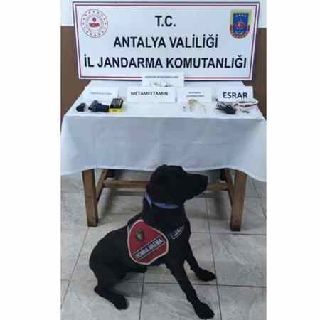 Gerçekleştirilen Önleme Aramasında Uyuşturucu Madde Ele Geçirildi