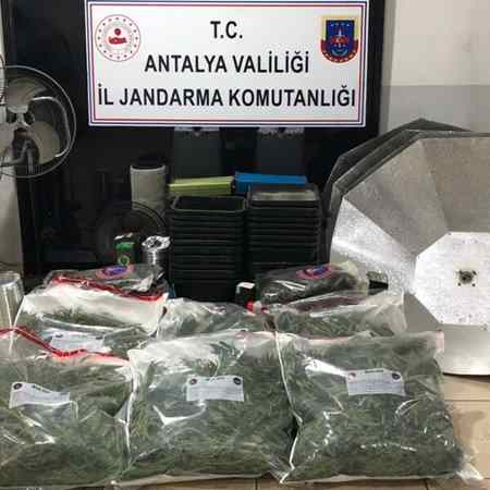 Antaly’da 25 Kilo Skunk Ele Geçirildi