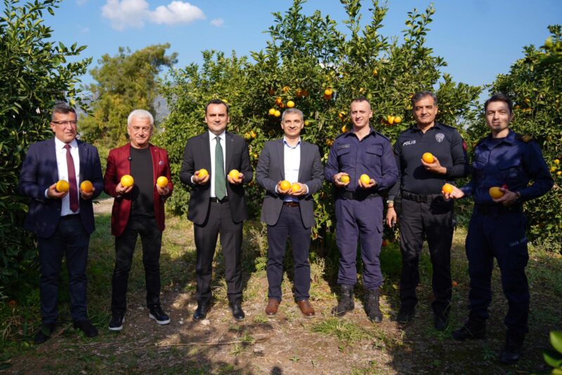 Finike Portakalı Hasadına Kaymakam Çelik’ten Destek